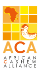 African Cashew Alliance